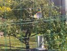 img_20211022_142729