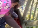 img_20221101_153248