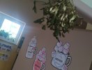 img_20221222_085618