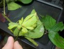 img_20221222_115327