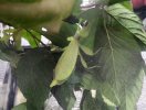 img_20221222_125338