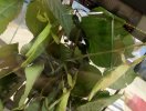 img_20221222_131904
