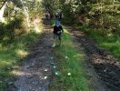 img-20230911-wa0017