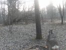 dscf0157