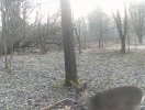 dscf0167