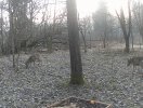 dscf0170