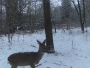 dscf0333