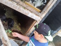 2025-06-24 Stanování