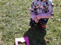 IMG-20260408-WA0009