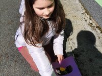 IMG-20260408-WA0013